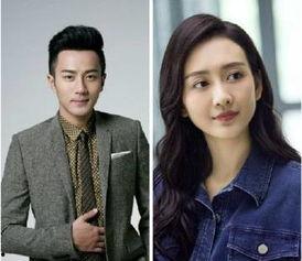 2016年娱乐圈菊花,菊花盛放，星光璀璨的一年