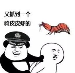 广西仔三炮搞笑,笑料横生的欢乐喜剧之旅
