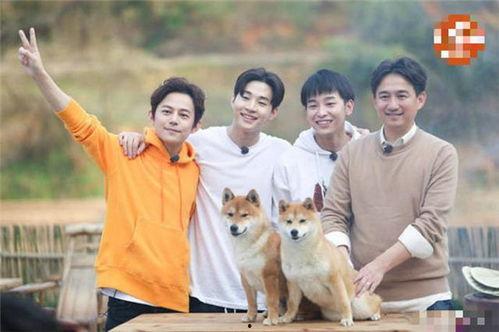 向往的生活演员表名单,实力派明星齐聚一堂